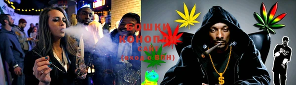 гидропоника Белокуриха