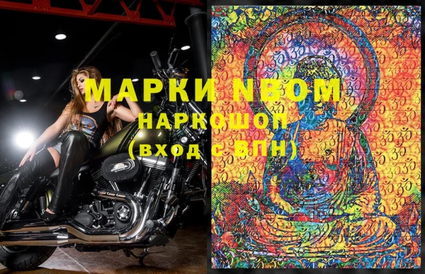 гидропоника Белокуриха