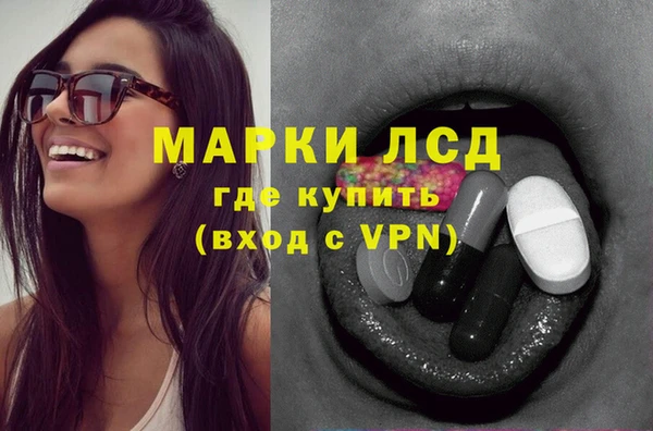 гидропоника Белокуриха