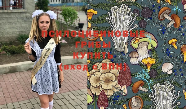 эйфоретик Белоозёрский