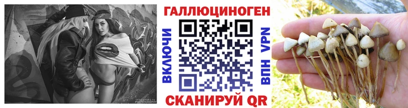 Псилоцибиновые грибы ЛСД  Удачный 